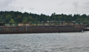 cormorants on barge