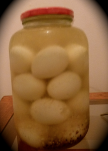 pickled eggs